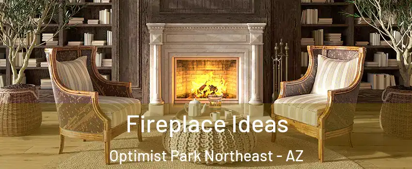 Fireplace Ideas Optimist Park Northeast - AZ