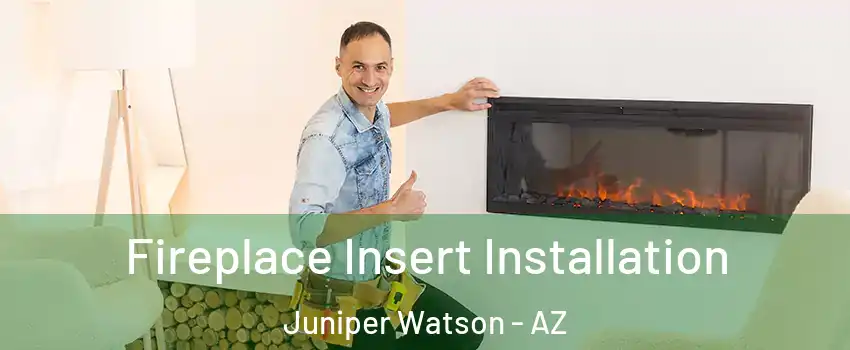 Fireplace Insert Installation Juniper Watson - AZ