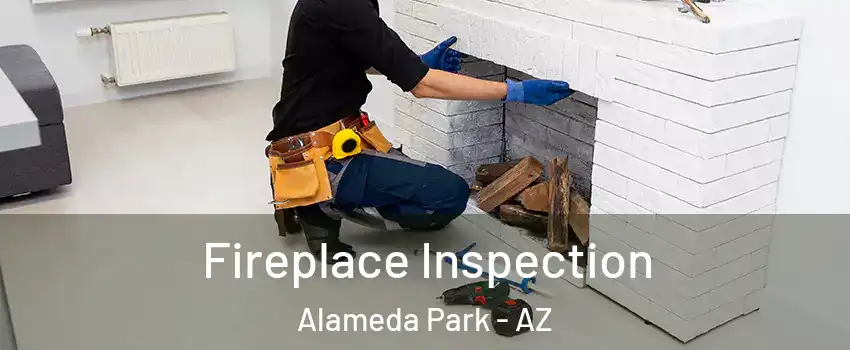 Fireplace Inspection Alameda Park - AZ
