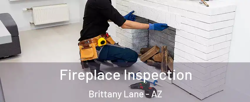 Fireplace Inspection Brittany Lane - AZ