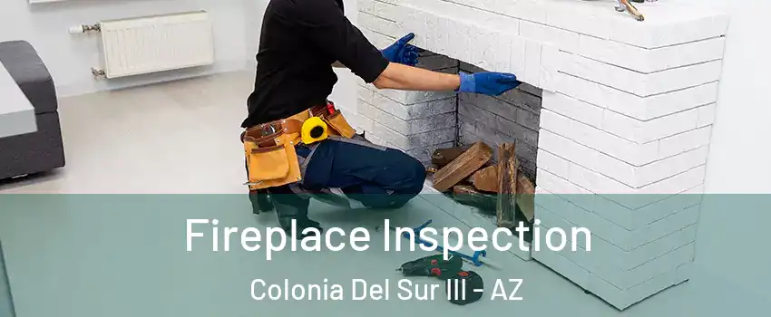 Fireplace Inspection Colonia Del Sur III - AZ