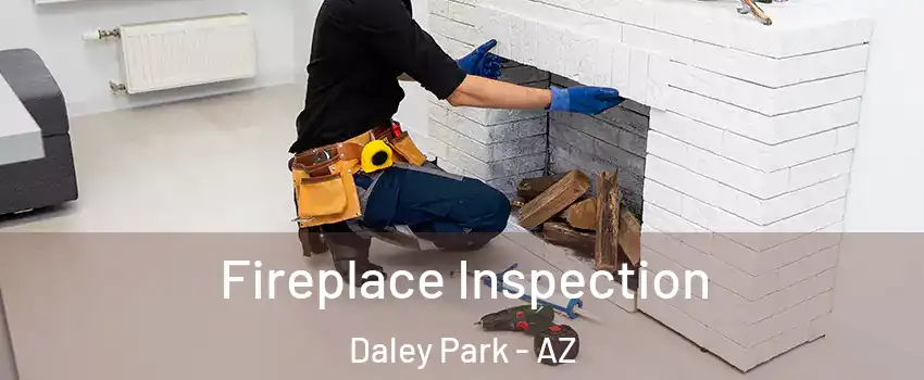 Fireplace Inspection Daley Park - AZ