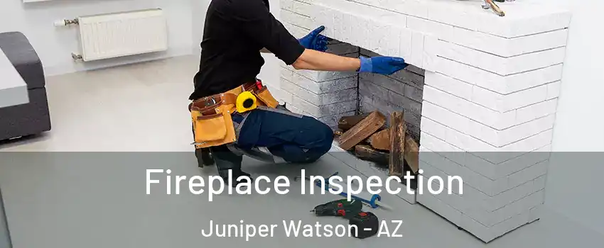Fireplace Inspection Juniper Watson - AZ