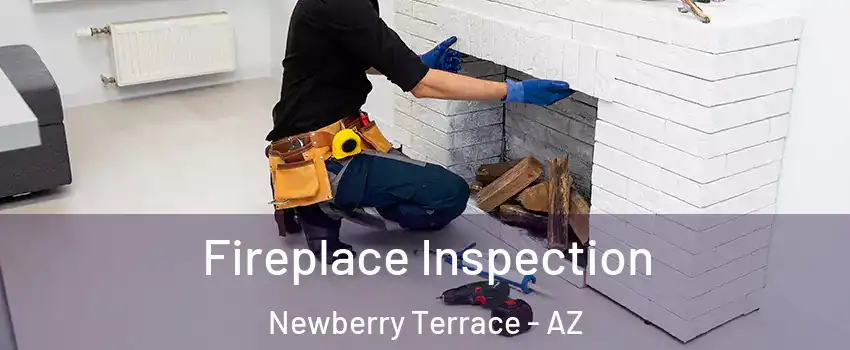 Fireplace Inspection Newberry Terrace - AZ
