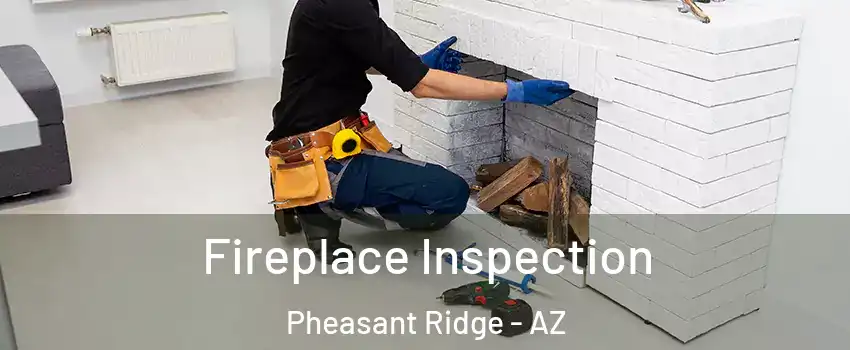 Fireplace Inspection Pheasant Ridge - AZ