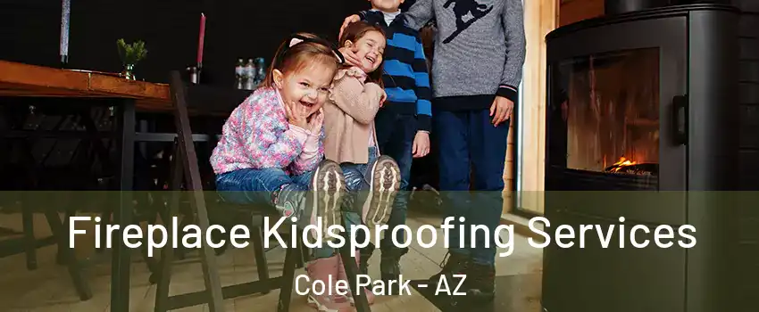 Fireplace Kidsproofing Services Cole Park - AZ