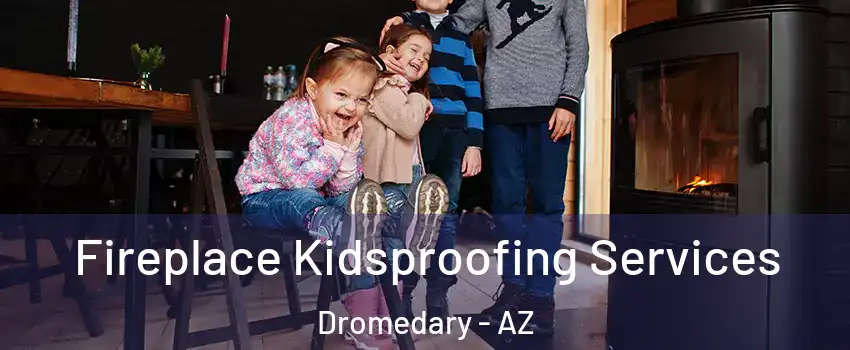 Fireplace Kidsproofing Services Dromedary - AZ