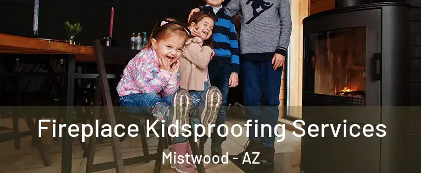 Fireplace Kidsproofing Services Mistwood - AZ