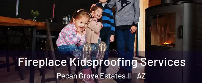 Fireplace Kidsproofing Services Pecan Grove Estates II - AZ