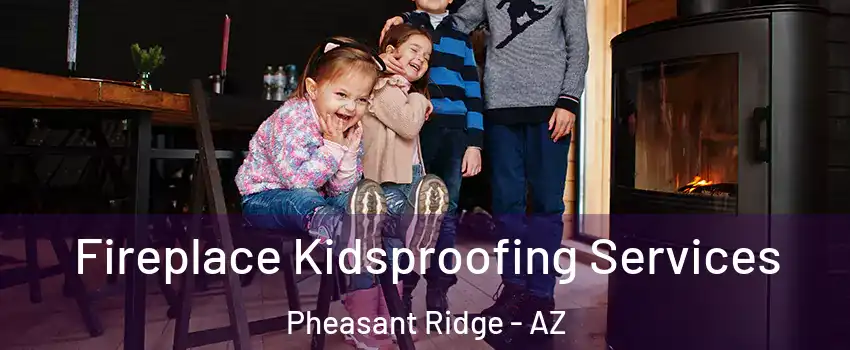 Fireplace Kidsproofing Services Pheasant Ridge - AZ