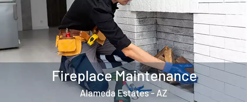 Fireplace Maintenance Alameda Estates - AZ