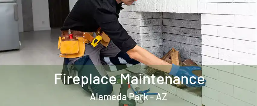 Fireplace Maintenance Alameda Park - AZ