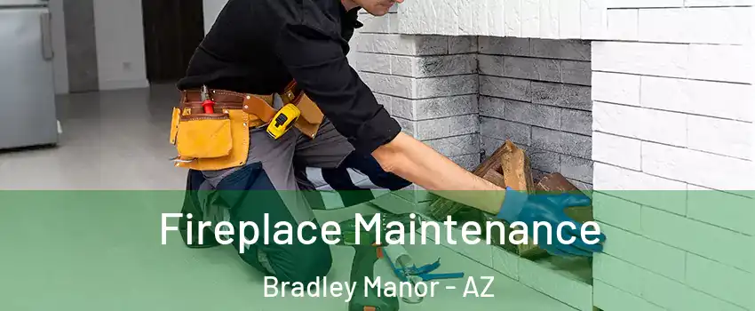Fireplace Maintenance Bradley Manor - AZ