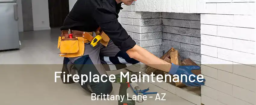 Fireplace Maintenance Brittany Lane - AZ