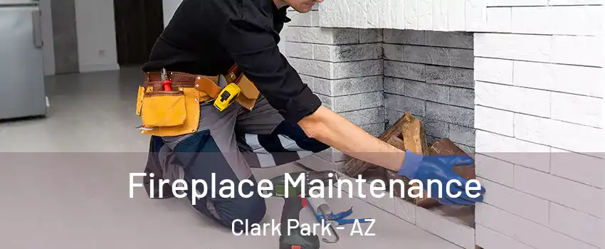 Fireplace Maintenance Clark Park - AZ