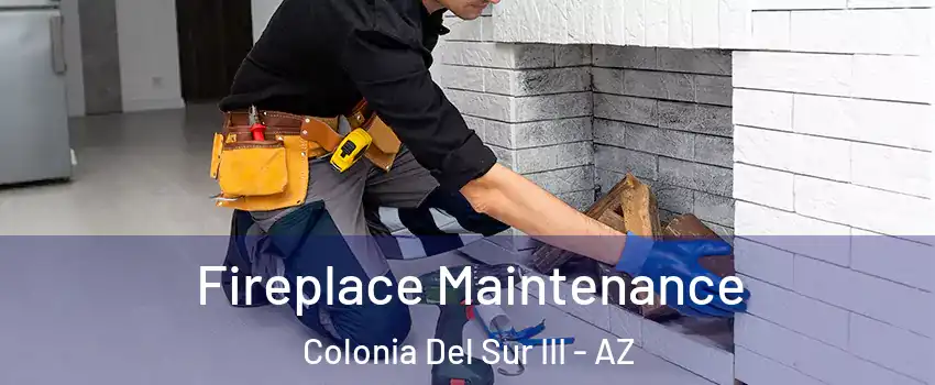 Fireplace Maintenance Colonia Del Sur III - AZ