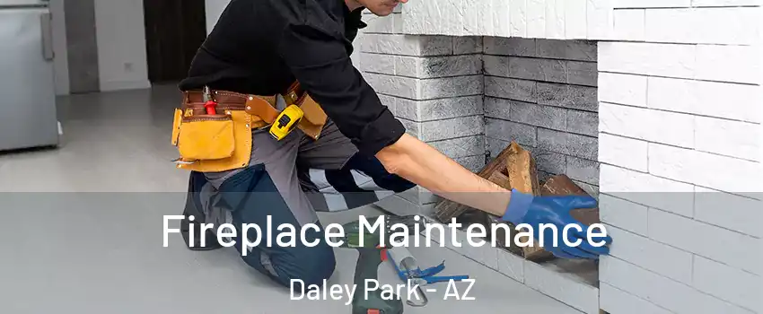 Fireplace Maintenance Daley Park - AZ