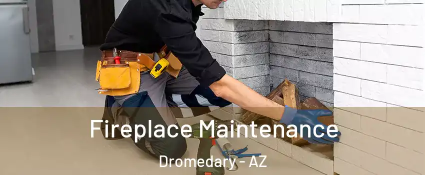 Fireplace Maintenance Dromedary - AZ