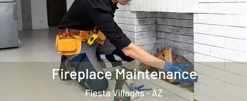 Fireplace Maintenance Fiesta Villages - AZ