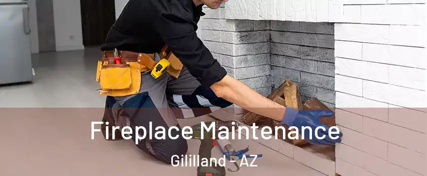 Fireplace Maintenance Gililland - AZ