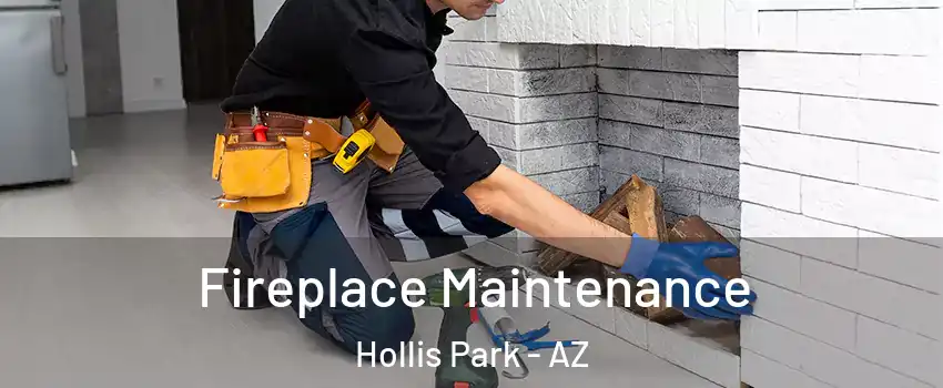Fireplace Maintenance Hollis Park - AZ