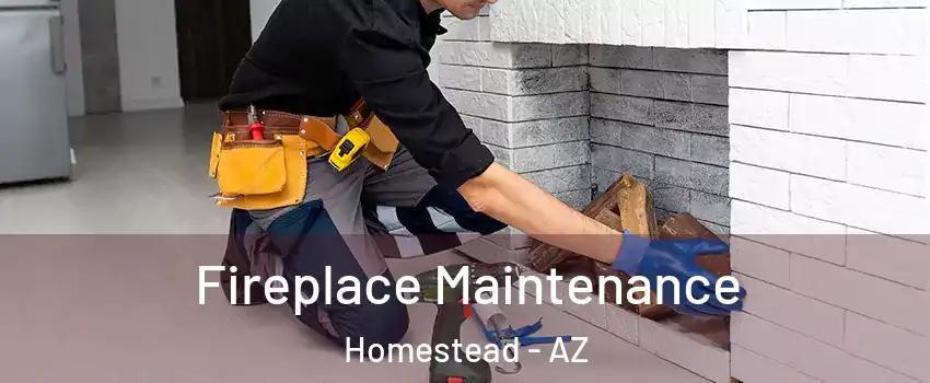 Fireplace Maintenance Homestead - AZ