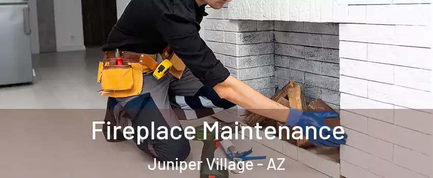 Fireplace Maintenance Juniper Village - AZ