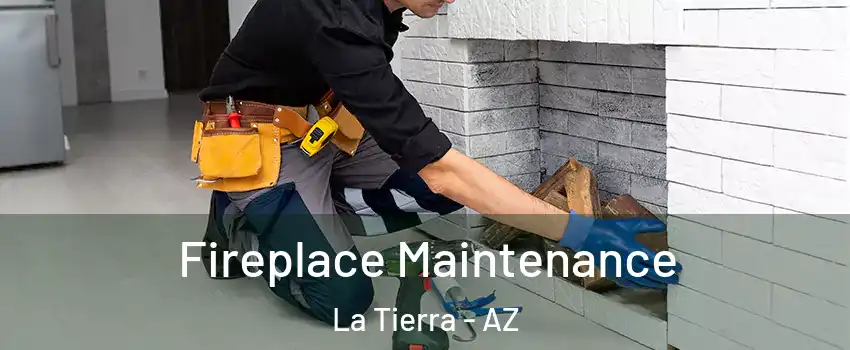 Fireplace Maintenance La Tierra - AZ