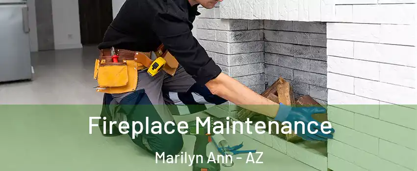 Fireplace Maintenance Marilyn Ann - AZ