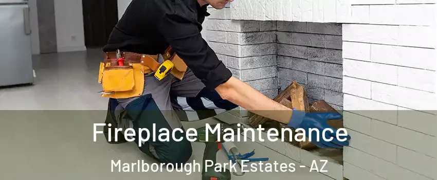 Fireplace Maintenance Marlborough Park Estates - AZ