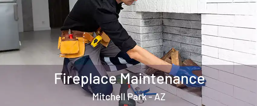Fireplace Maintenance Mitchell Park - AZ
