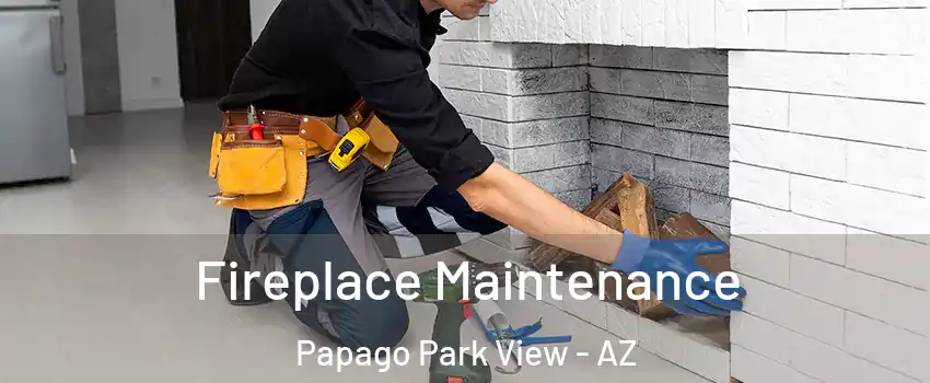 Fireplace Maintenance Papago Park View - AZ