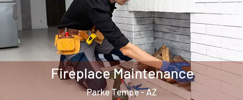 Fireplace Maintenance Parke Tempe - AZ