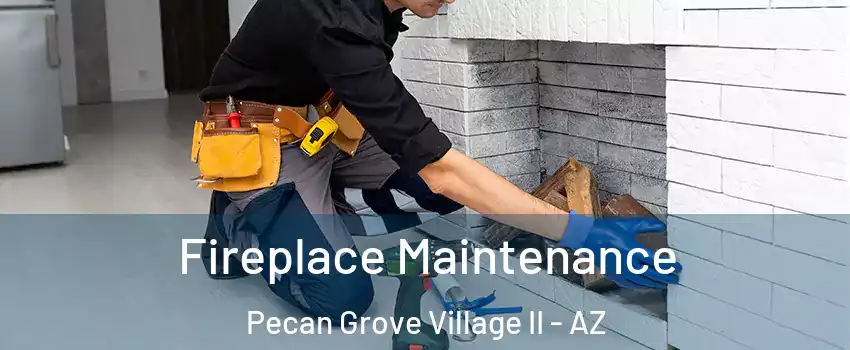 Fireplace Maintenance Pecan Grove Village II - AZ