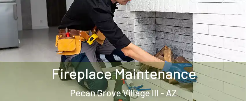 Fireplace Maintenance Pecan Grove Village III - AZ