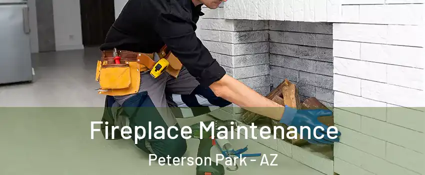 Fireplace Maintenance Peterson Park - AZ