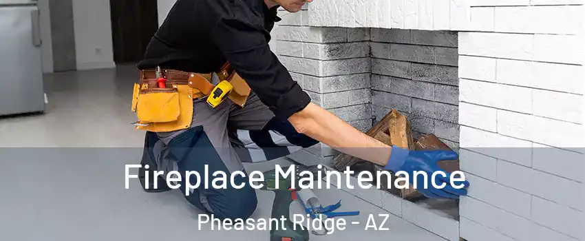 Fireplace Maintenance Pheasant Ridge - AZ