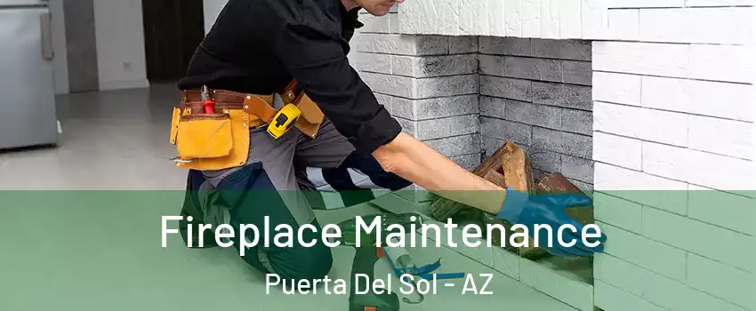 Fireplace Maintenance Puerta Del Sol - AZ