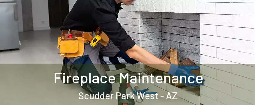 Fireplace Maintenance Scudder Park West - AZ