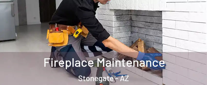 Fireplace Maintenance Stonegate - AZ