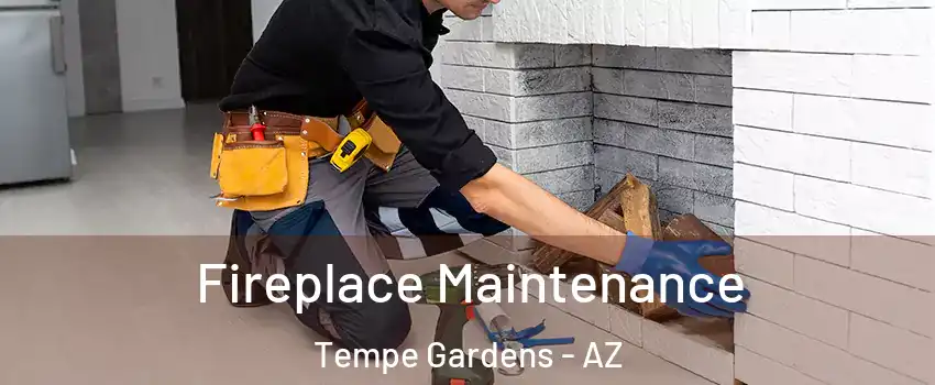 Fireplace Maintenance Tempe Gardens - AZ
