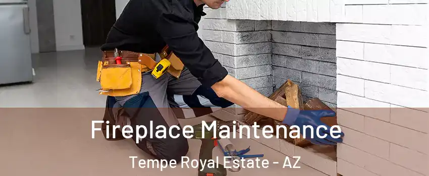 Fireplace Maintenance Tempe Royal Estate - AZ