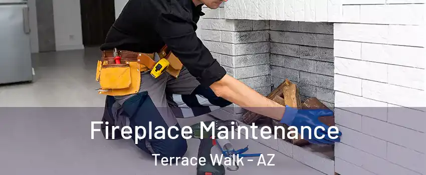 Fireplace Maintenance Terrace Walk - AZ