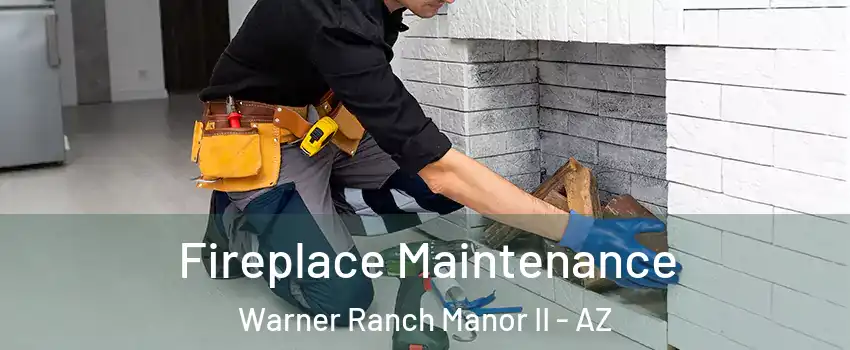 Fireplace Maintenance Warner Ranch Manor II - AZ