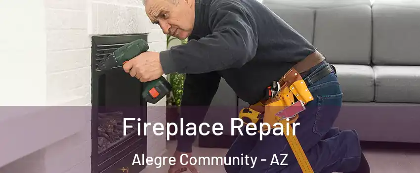 Fireplace Repair Alegre Community - AZ