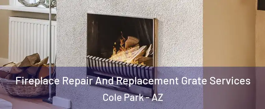 Fireplace Repair And Replacement Grate Services Cole Park - AZ