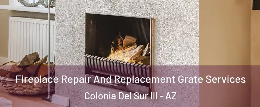 Fireplace Repair And Replacement Grate Services Colonia Del Sur III - AZ