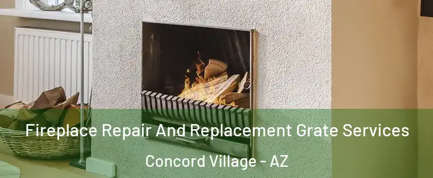 Fireplace Repair And Replacement Grate Services Concord Village - AZ