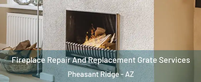 Fireplace Repair And Replacement Grate Services Pheasant Ridge - AZ