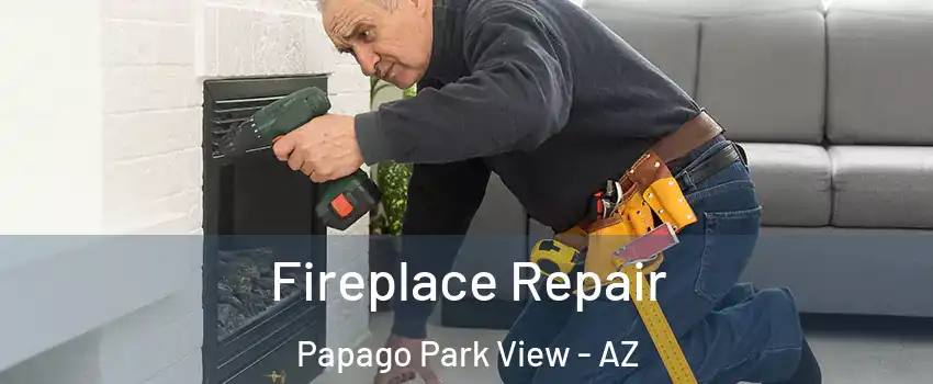 Fireplace Repair Papago Park View - AZ